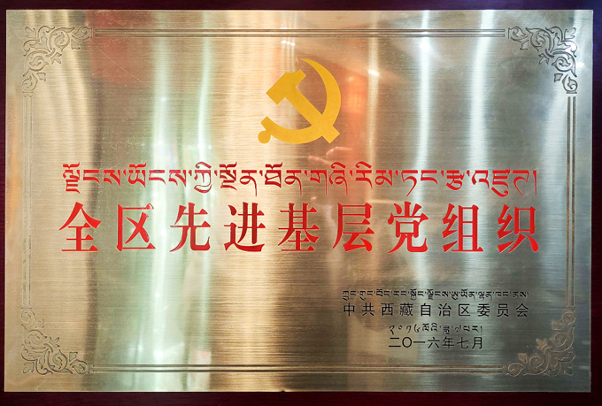 西藏自治區(qū)委員會(huì)先進(jìn)黨組織副本.jpg