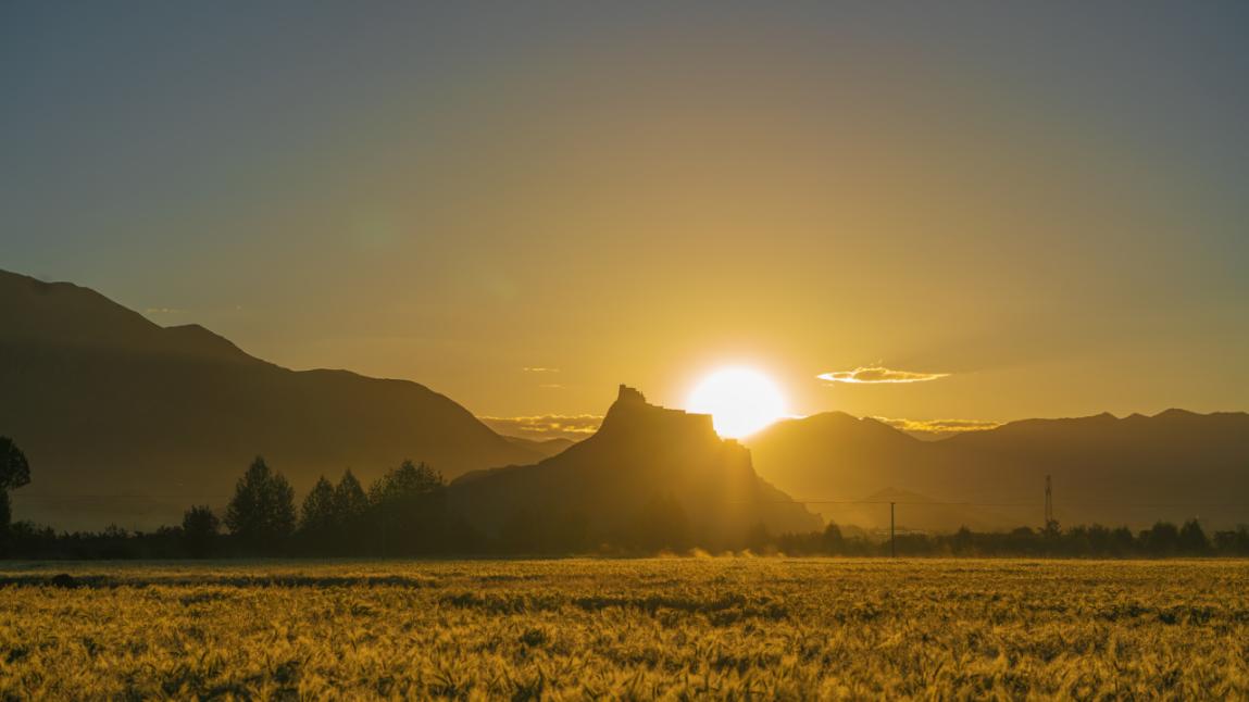 1742183760139956.jpg 圖片2.jpg